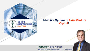 What are options to raise venture capital?