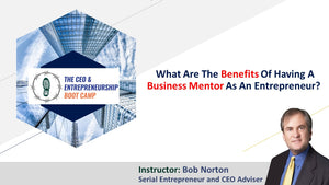 What are the benefits of having a business mentor as an entrepreneur?