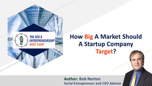 How Big A Market Should A Startup Company Target?