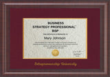 Business Strategy Professional Certification Program - 12-weeks - Learn All the Best Strategy Tools and Processes