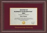 Master of Business Acceleration Certification Program - A 6-12 month Program For CEOs and Founders